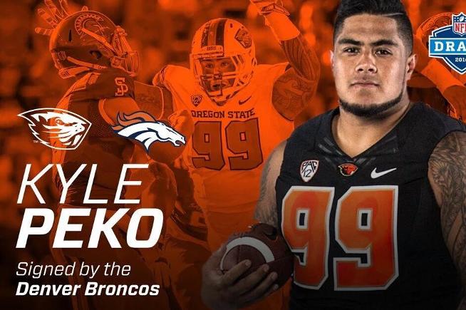 Kyle Peko is one of three former Falcons to sign with NFL teams