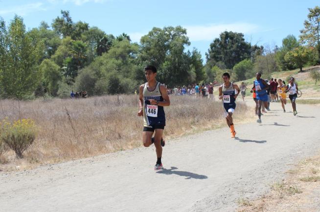 Joe Magana (446) was the second Falcon cross country runner to finish at the Palomar Invitational.