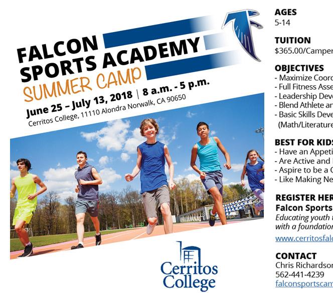 Falcon Sports Academy Summer Camp