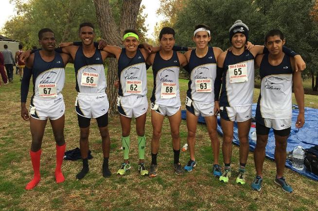 Cerritos men's cross country team finished in ninth place at the State Championships