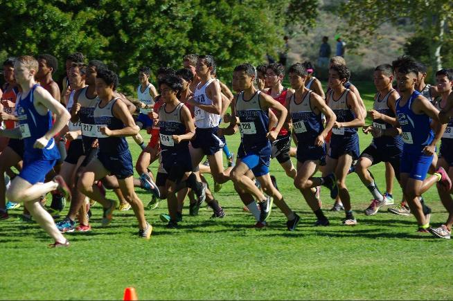 On Friday, the men's cross country team placed fifth
