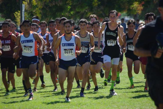 The Falcon men's cross country team came in 11th place