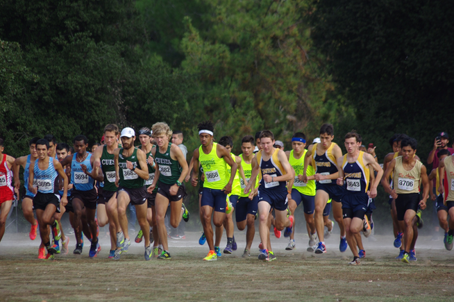 Falcon men's cross country places 13th at state championships