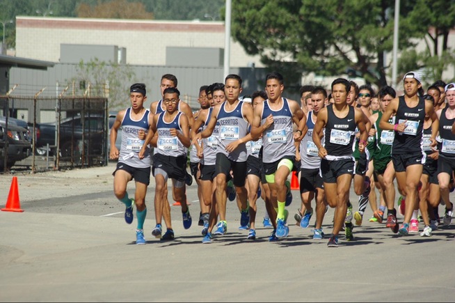 Men's cross country finishes fourth at SCC Finals