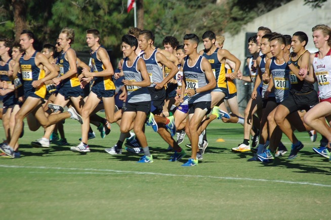 Falcons running at the Triton Classic