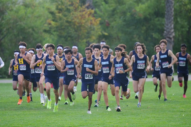 The Falcon men's cross country team placed third at the conference championships