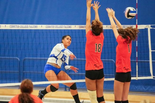 File Photo: Led by Jasmynne Roberts and her 11 kills, the Falcons defeated East LA