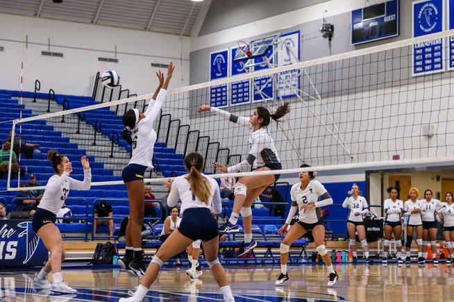 Alexia Torres posted eight kills for the Falcons