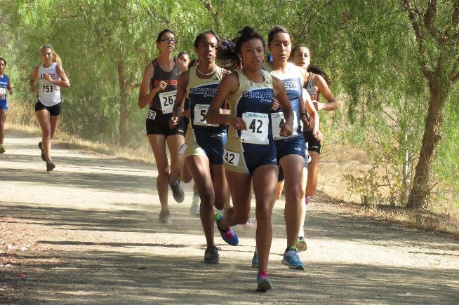 File Photo: The women's cross country team competed with USC and UCLA