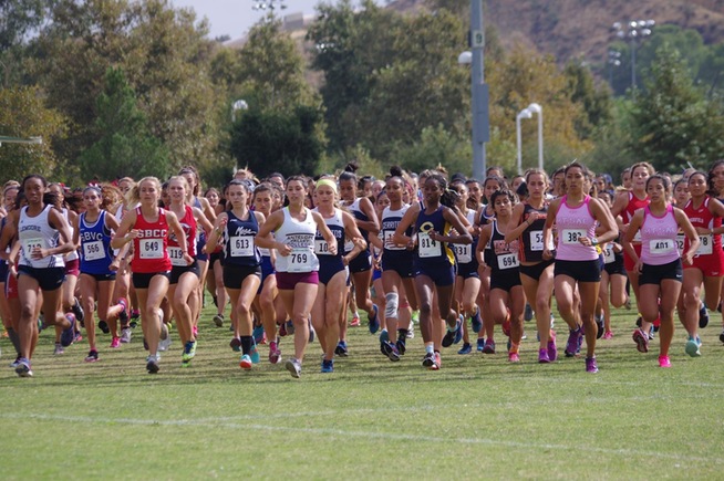 Falcons secure sixth place at SoCal Preview Meet