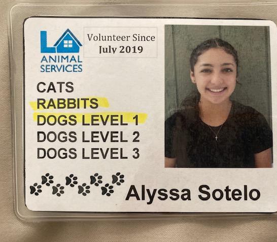 Softball player Alyssa Sotelo shares her ID badge while working as a volunteer