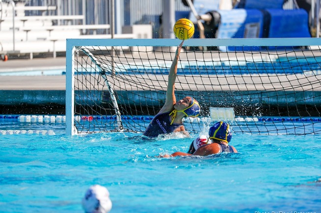 Leslie Meza made 14 saves for the Falcons in their win